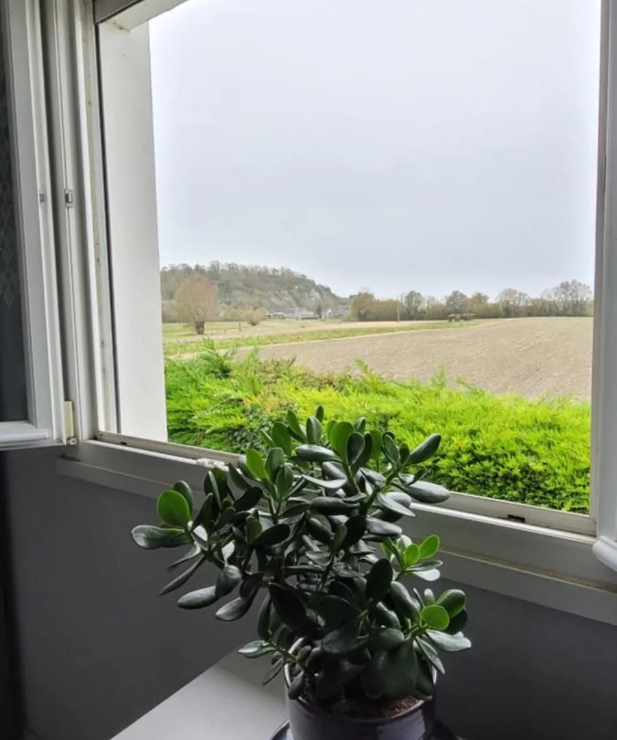Дом отдыха Belle Maison De Vacances Entre Saint-Malo Et Mont-Saint-Michel. Le Clos Fleuri